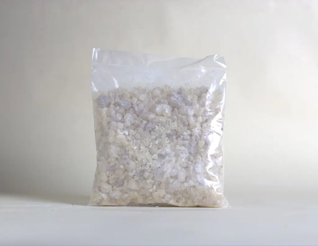 goma damar sin etiqueta.webp